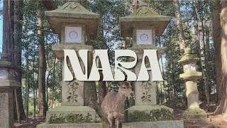 Miniature : Hello NARA [JAPON 2024 #2]