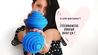 Miniature : *Je gère mon budget!* Comment économiser de 300 à 1000euros en 5 ans?
