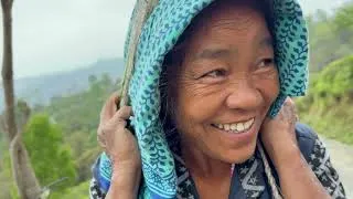Miniature : À la rencontre des producteurs de thé au  Darjeeling.
