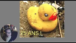 Miniature : 29 000 canards en plastique tombent dans l'océan… et aident la science