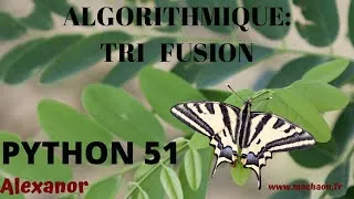 Miniature : Programmation Python #51 - algorithmique : tri fusion ( récursivité et dichotomie ) 2ième version
