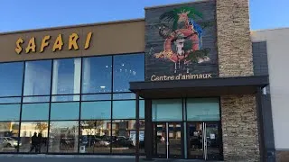 Miniature : Présentation de la section aquariophilie au Safari Dix30 à Brossard!