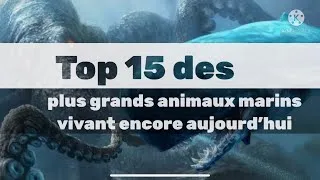 Miniature : Top 15 des plus grands animaux marins vivant encore aujourd’hui!