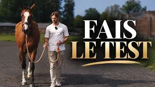 Miniature : Ton cheval est-il vraiment PRÊT à sortir en extérieur ?