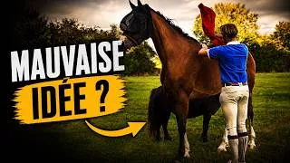 Miniature : J'ai refait ce qui la faisait exploser