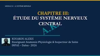 Miniature : LICENCE 1/ANATOMIE/SYSTEME NERVEUX/ETUDE DU SYSTEME NERVEUX CENTRAL