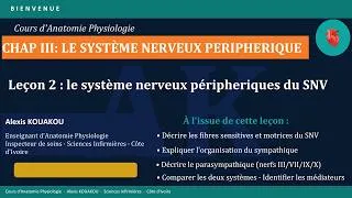 Miniature : SYSTEME NERVEUX/ETUDE DU SYSTEME NERVEUX PERIPHERIQUE/LECON 2: SYSTEME NERVEUX PERIPHERIQUE DU SNV