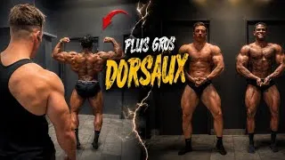 Miniature : Les NATTY avec les plus gros DORSAUX ?