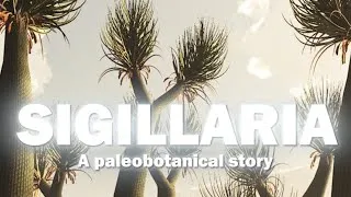 Miniature : Paleobotanical story of a fossil plant : Sigillaria