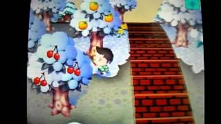 Miniature : Animal Crossing Wild World - Ma ville parfaite / Comment l'avoir