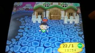 Miniature : Animal Crossing Wild World - Comment faire un voeu