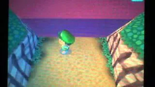Miniature : Animal Crossing Wild World - Île secrete / Derriere les portes (Behind The Gate)