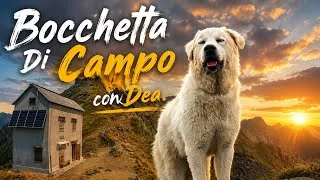 Miniature : Bocchetta di Campo, Val Grande con Dea 🐕🏔🥾
