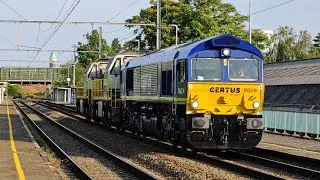 Miniature : Class66 Certus, BLS et Autres à Gand + Klaxons ! (02/08/26)