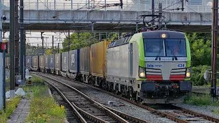 Miniature : Trains à la Gare de Muizen + HLD55 & Klaxons !! (05/08/26)