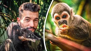Miniature : 7 Jours dans Un REFUGE ANIMALIER (en Équateur)