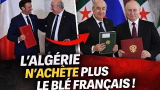 Miniature : Algérie – France : Pourquoi Alger tourne définitivement la page du blé français ?📝 