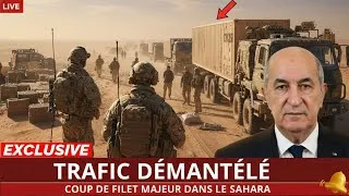 Miniature : Exclusif : L'Algérie Frappe Fort Contre les Réseaux Criminels