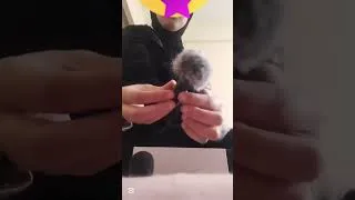 Miniature : Unboxing. Jrebt micro cravate li khdit