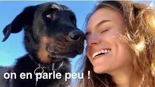 Miniature : Avoir un chiot : ce que je n’ai pas aimé (en toute honnêteté)