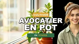 Miniature : Cultiver un avocatier en pot : 7 étapes pour réussir chez soi