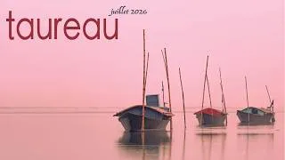 Miniature : TAUREAU - Juillet 2026 ~ Envie d'aventure ...