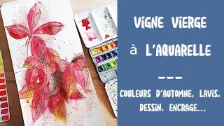 Miniature : Vigne Vierge à l'Aquarelle - Aquarelle, Tuto et Blabla... #arttutorial #watercolor #aquarelle