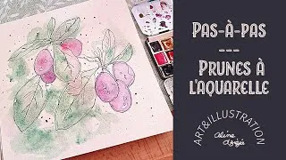 Miniature : Tuto Prunes à l'aquarelle - Du dessin à la peinture.   #sketchbook #aquarelle #tuto #art