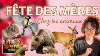 Miniature : Les mamans incroyables du règne animal - Spécial Fête des Mères