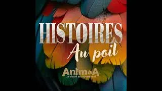 Miniature : Episode spécial - Interview de La métairie, refuge en Charente Maritime