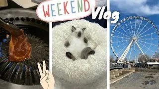 Miniature : #5 Vlog : Un Week-End idéal à Montréal 🎡