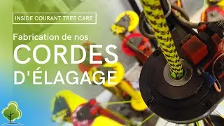 Miniature : INSIDE Courant Tree Care - Cordes de Grimpe et de rétention - Leur Fabrication