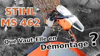 Miniature : MS 462 ou MS 500i, Laquelle Choisir chez STIHL pour du Démontage ?