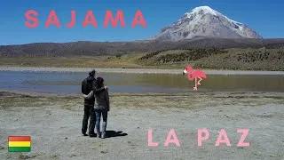 Miniature : On monte en altitude 🚠🗻 ! | LA PAZ & PARC NATIONAL SAJAMA 🇧🇴  [Vlog#109]