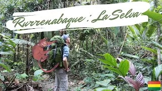 Miniature : La jungle amazonienne 🌿🐒  ! | RURRENABAQUE - LA SELVA 🇧🇴  [Vlog#107]