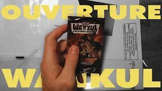 Miniature : J'OUVRE UN BOOSTER WANKUL !?