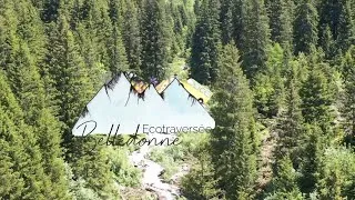 Miniature : Sur les pas du loup en Combe Madame - Ecotraversée de Belledonne 2020