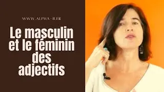 Miniature : Le masculin ou le féminin des adjectifs - Français pour débutant - Alpha.b