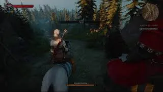 Miniature : THE WITCHER 3 1440p60 Part 21