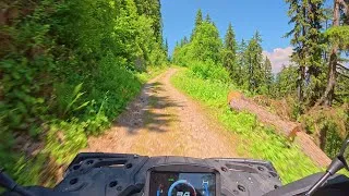 Miniature : Rando Quad, défi Forêt-Sommet-Vallée ! 🌲🌄 #mountain #offroad #adventure  #nature