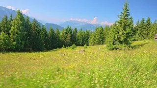 Miniature : Balade Sauvage, des Sous-Bois aux Alpages Grandioses ! 🌄🌼 #mountain #offroad #adventure  #nature