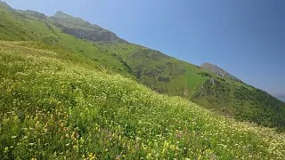 Miniature : Sommet en Quad : Alpages & prés à l'infini ! 🏞🌻🌼 #mountain #offroad #adventure #pov  #fyp  #nature