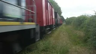 Miniature : Train des mouettes 