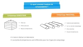 Miniature : L’analyse de la compostabilité expliquée