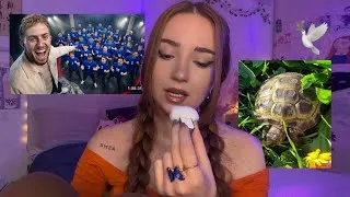 Miniature : Episode 38 : ASMR, on s’assoit pour parler ? Ma tortue est morte, Tournage Michou 