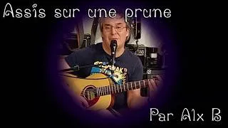 Miniature : Assis sur une prune - Chanson + accompagnement pour voix d'enfant