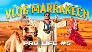 Miniature : MEILLEUR VILLE D'AFRIQUE ? 🇲🇦 VLOG MARRAKECH MAROC # PRG LIFE 5