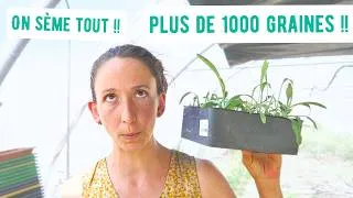 Miniature : Toutes les PLANTES COSMÉTIQUES semés en juillet (+ de 1000 graines !!)