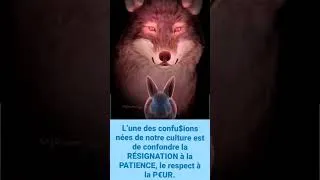 Miniature : 🔴TOLAH BAH 21_06_2026
