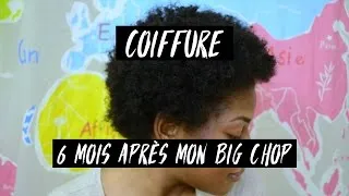 Miniature : Coiffure - Big Chop Hair - 6 mois après